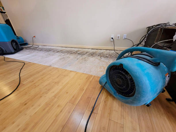 Professional Water Damage Repair technician working in Neshanic Station, NJ